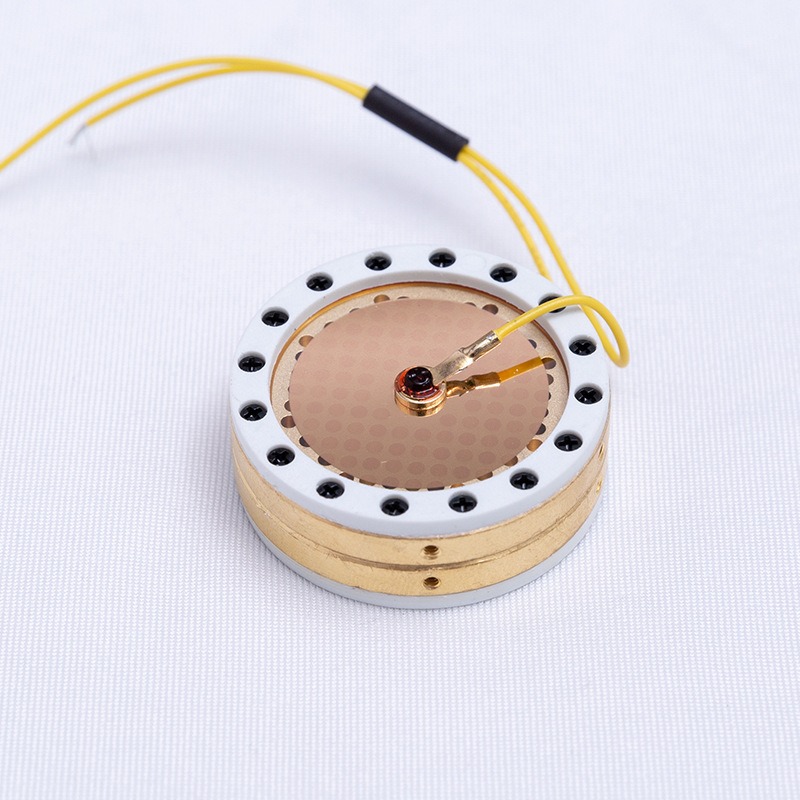 Microphone Capsule - RK-87 Large Diaphragm Microphone Capsule Gold